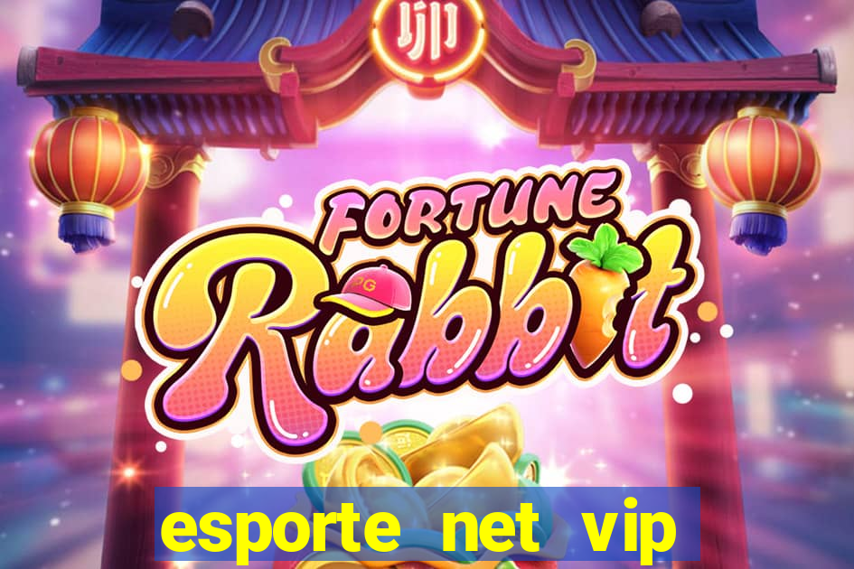 esporte net vip bet apostas